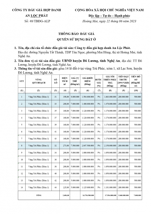 Thông báo đấu giá xã Lạc Sơn page 0001